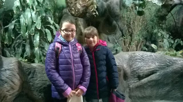 zoo 7